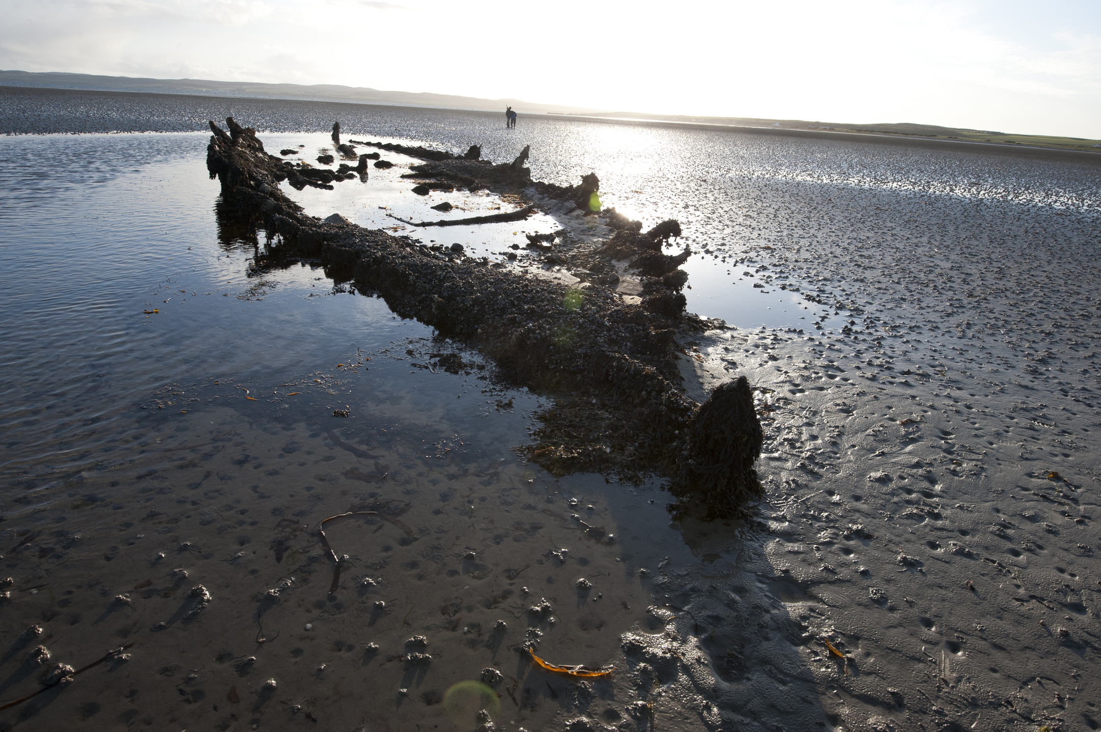Remains of a wooden boat or shipwreck exposed on a muddy tidal shore, with shallow water pools reflecting the sky and distant shoreline in the background.