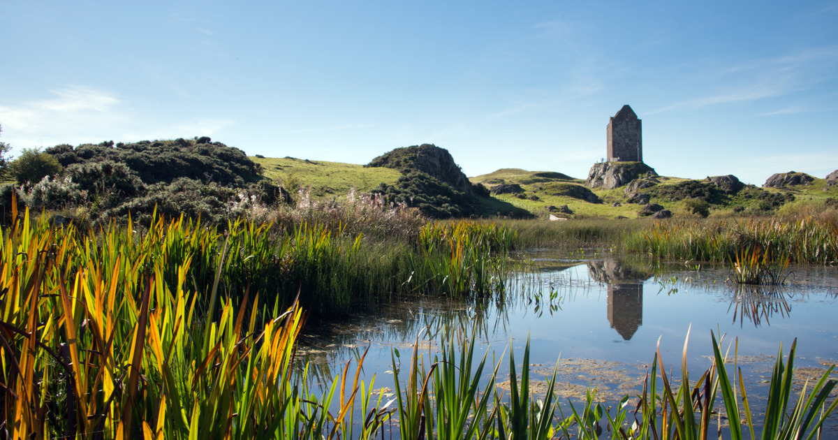 Image result for smailholm tower images
