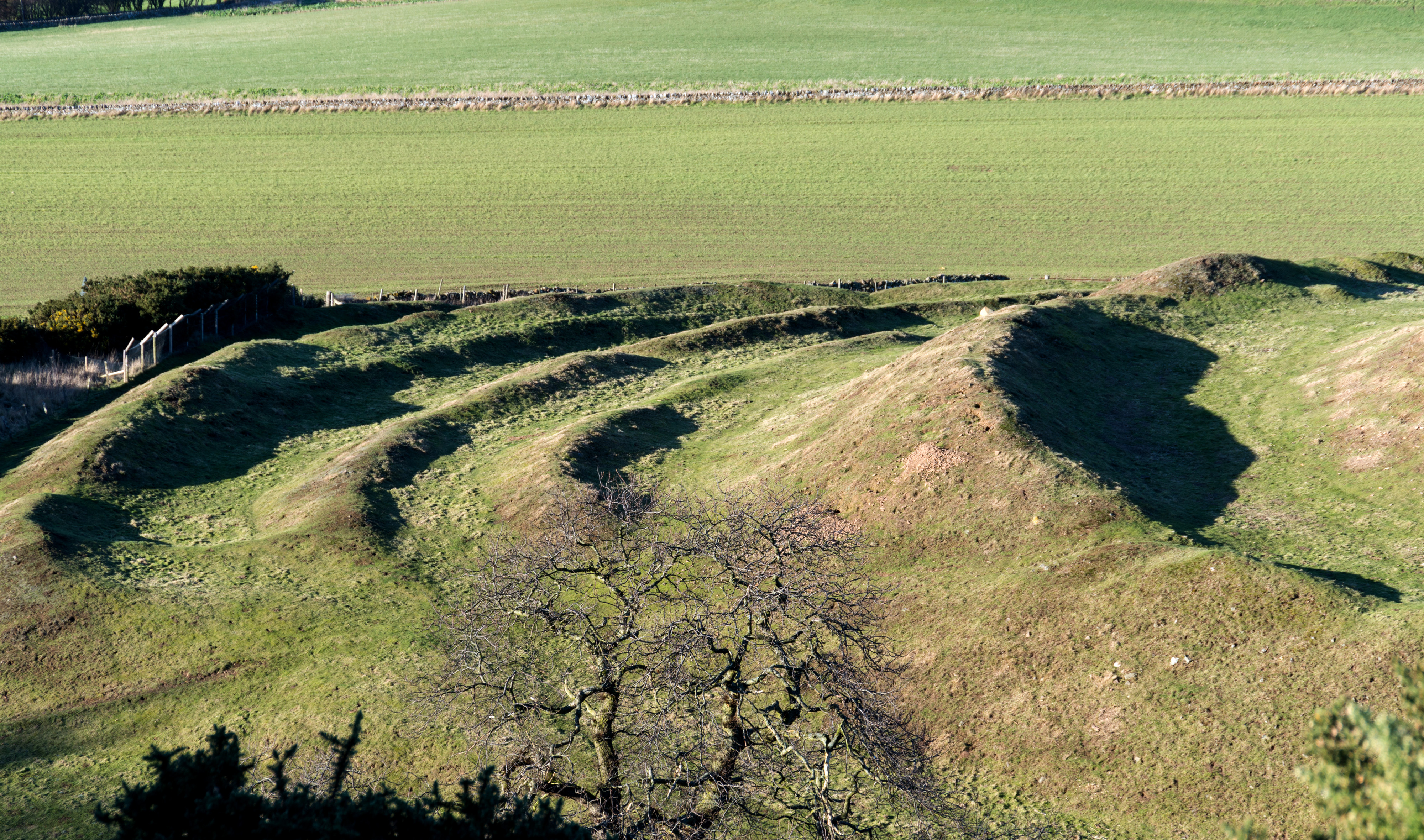 Several grass covered ramparts circling each other