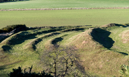 Several grass covered ramparts circling each other