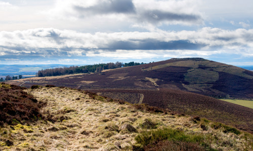 Boggy landscape leading to a hill