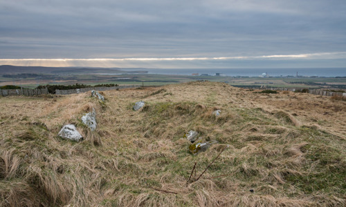 A field with some slight elevation covered in grass and a few stones