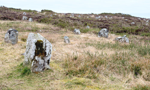 A grassy hill dotted with several small standing stones. Their grey is a nice contrast from the green and purple heather that surrounds them.