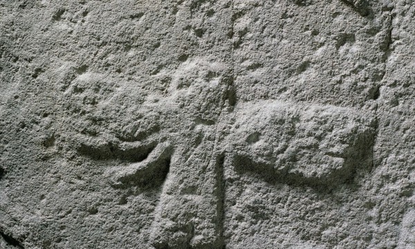 Close up of angel meigle