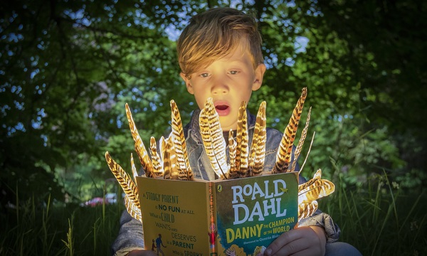 Danny the Champion of the World at Duff House