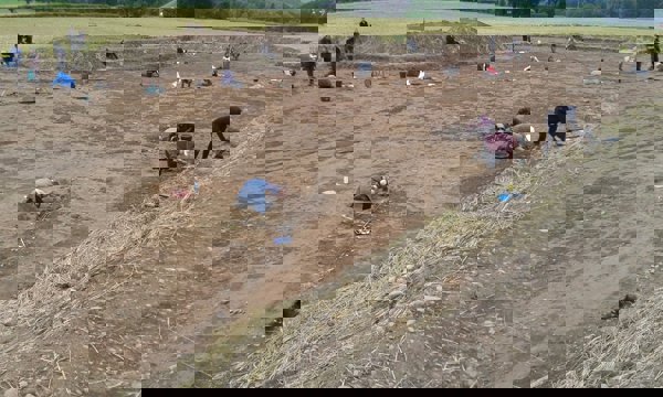 Archaeologists uncover evidence for Scotland’s earliest farming at Dunning in Perthshire