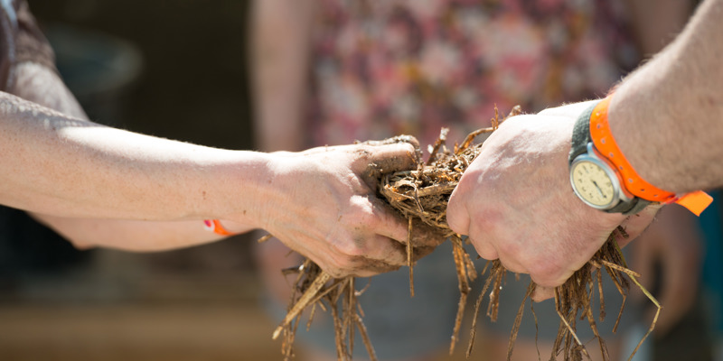 Two sets of hands holding a pile of muddy twigs