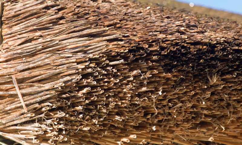 Close up of straw in part of a thatched roof