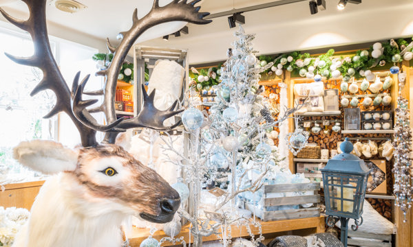 Shop at Stirling Castle transformed for Christmas
