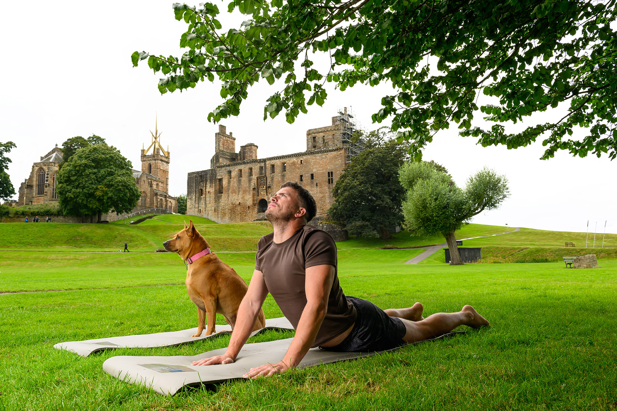 A person practices yoga on a mat in a grassy park, holding an upward-facing stretch pose beneath the branches of a large tree. A dog wearing a pink collar sits on a second mat beside the person. In the background, a historic stone castle and church stand on a landscaped hill, creating a scenic outdoor setting that combines wellbeing, exercise, and heritage surroundings.