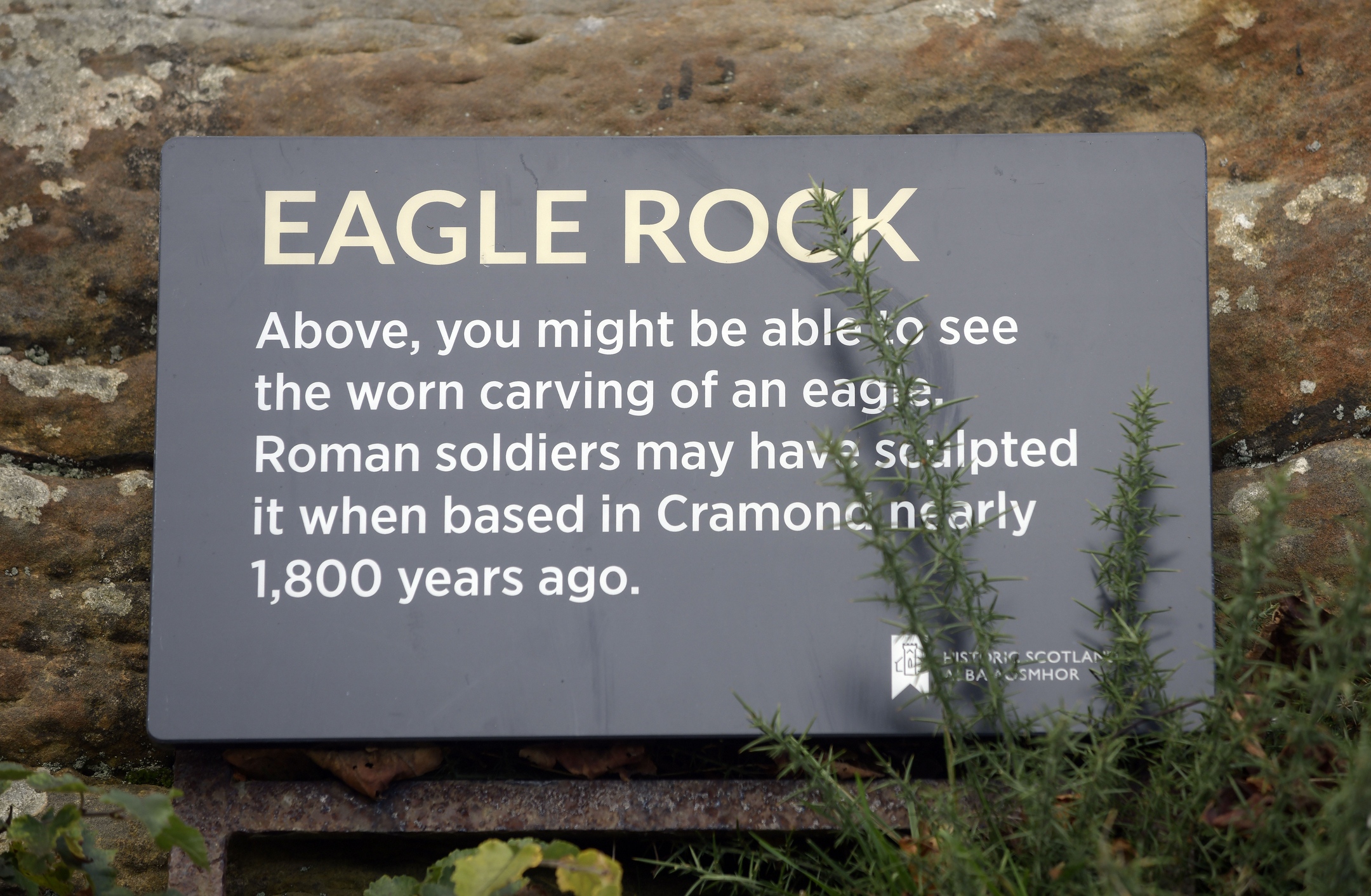 Information sign titled ‘Eagle Rock’ explaining the worn carving of an eagle, set against a stone surface with plants in the foreground.
