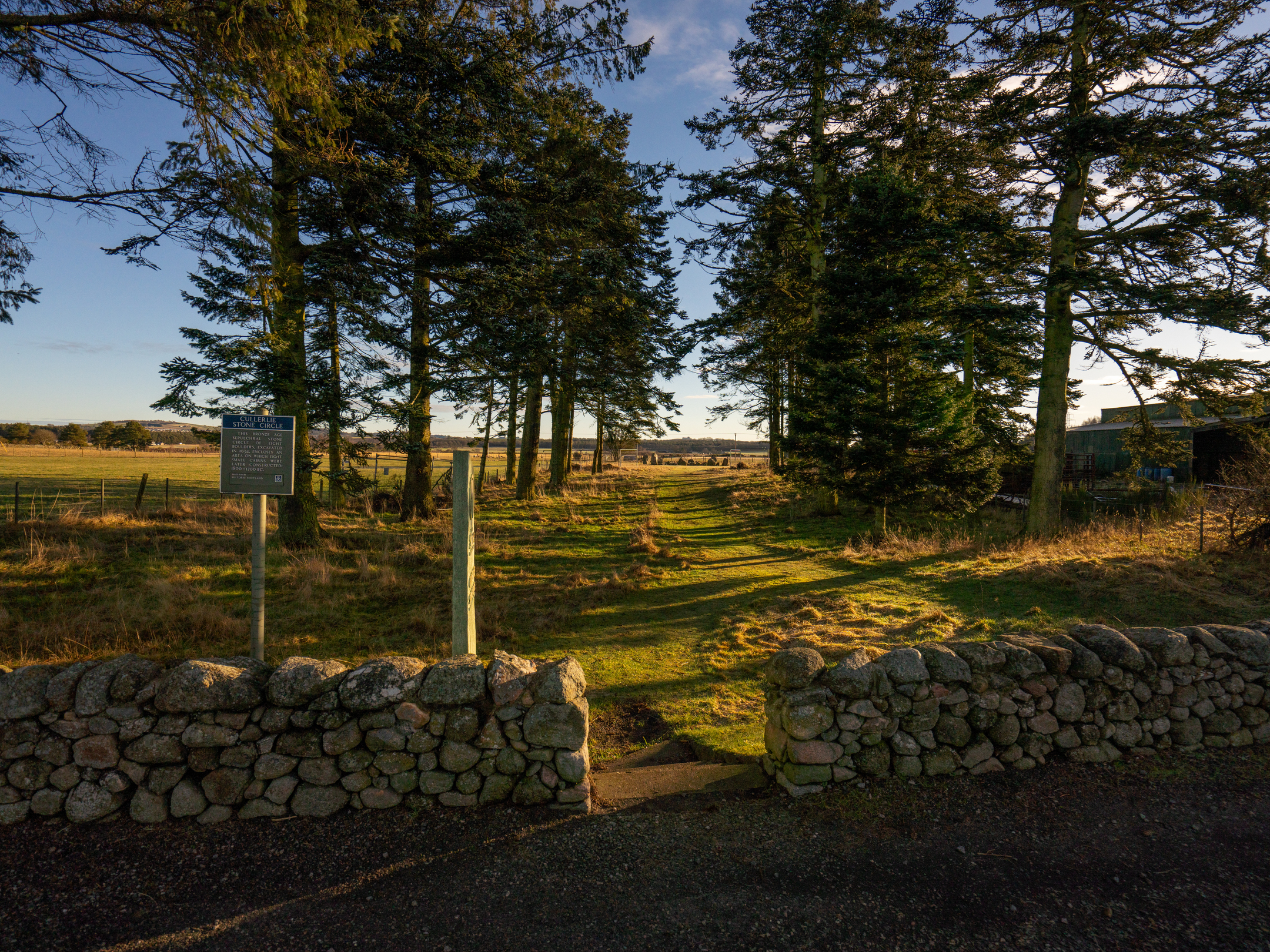 Entrance path to Cullerlie Stone Circle framed by tall evergreen trees, seen from a gap in a low stone wall with an information board on the left.