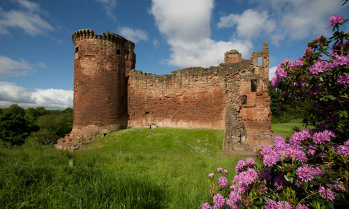 A photograph of a castle on a sunny day with blue skies. The castle sits on a hill of green grass and a bush of pink flowers is blooming nearby.