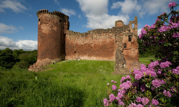 A photograph of a castle on a sunny day with blue skies. The castle sits on a hill of green grass and a bush of pink flowers is blooming nearby.