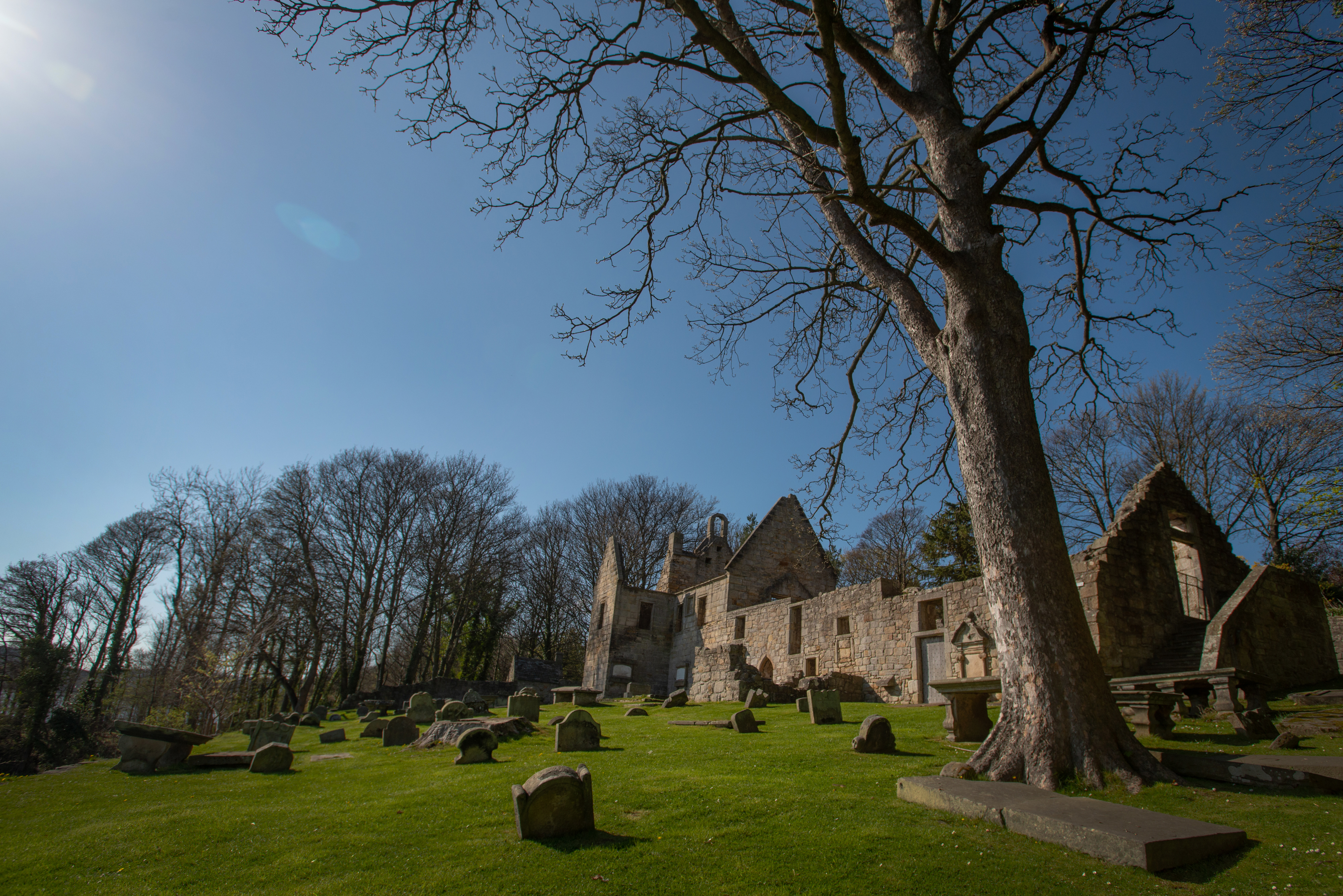 Grassy churchyard dotted with gravestones, surrounding the roofless stone walls of St Bridget’s Kirk, with a tall bare tree in the foreground.