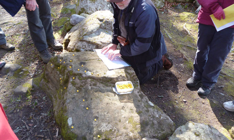 Photograph of a researcher demonstrating how to record markings on a rock face