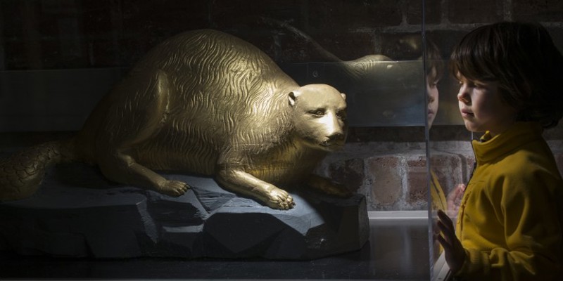 young child looks into glass case containing golden animal