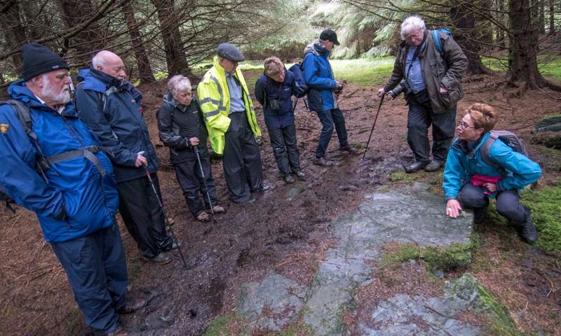 A photograph of a group of people looking at carved rocks on a forest floor