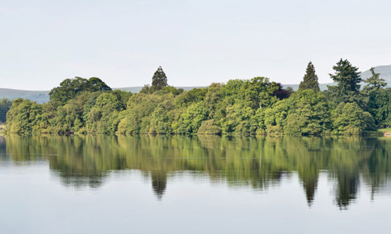 An island covered with green trees surrounded by still water.