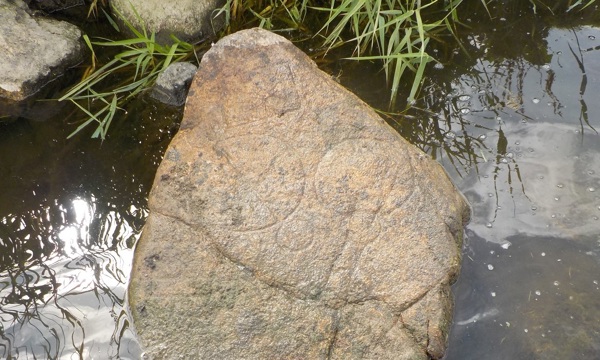 Pictish symbol stone submerged in water in the River Don