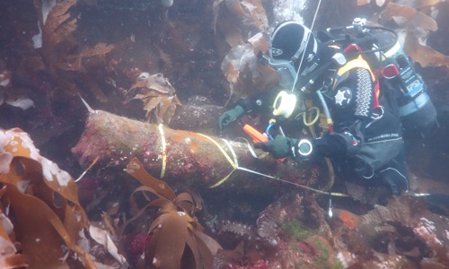 a diver wearing a wet suit and oxygen tanks inspects a piece of wreckage under water