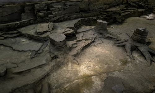 A 3D scan of fossilised trees at Fossil Grove in Glasgow
