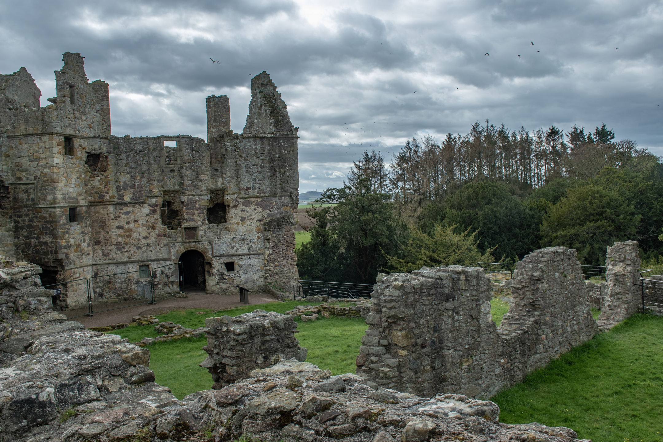Castle ruin with walls in varying states of repair, with grass and trees