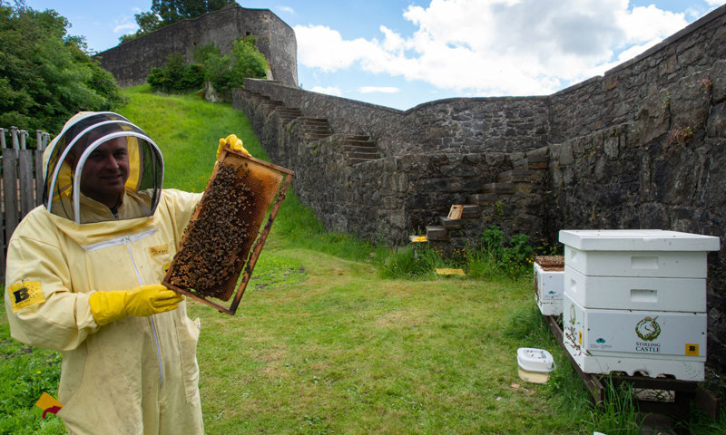 A man in a yellow beekeeper outfit holds a panel covered in bees beside a castle wall.