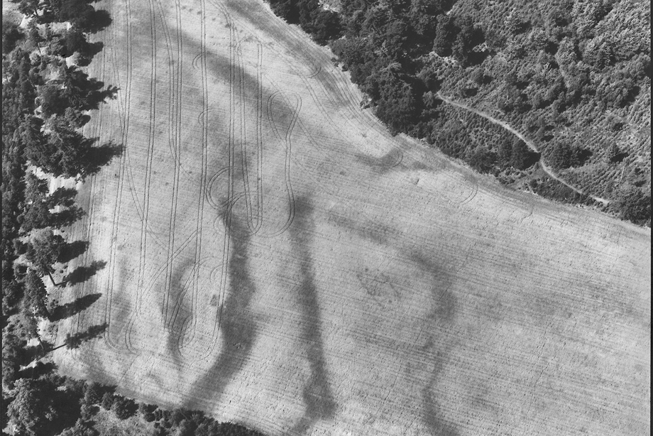 General aerial view of The Crathes Castle Pits.
