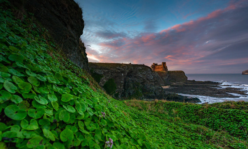 Distant view of Tantallon Castle
