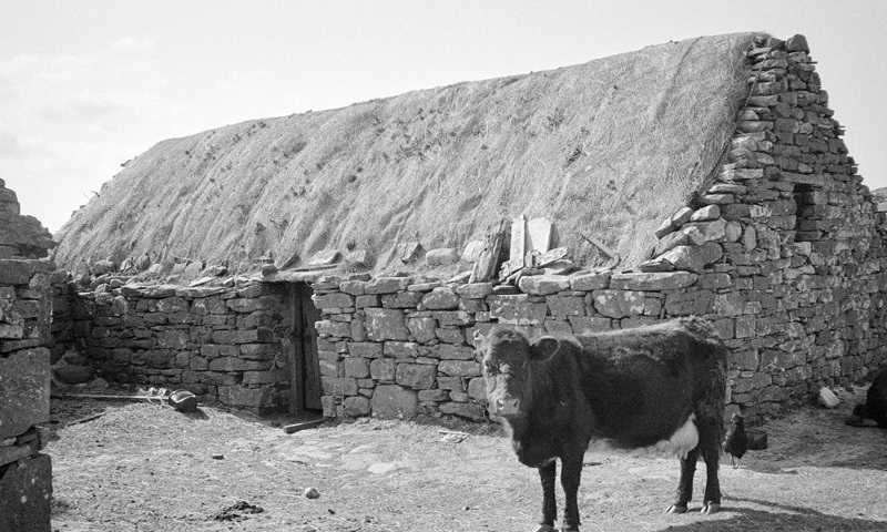 A thatched stone building with a cow standing outside