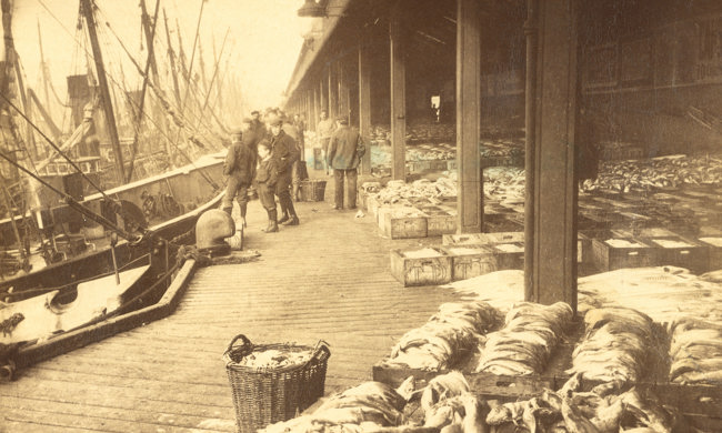  View of the fish market, Aberdeen Harbour