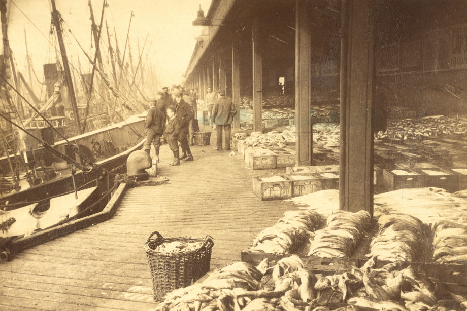  View of the fish market, Aberdeen Harbour