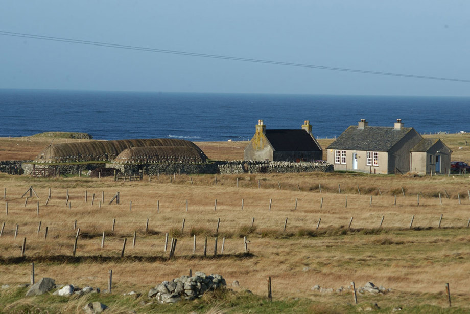 A pair of low thatched houses sit in fields beside more modern single storey houses