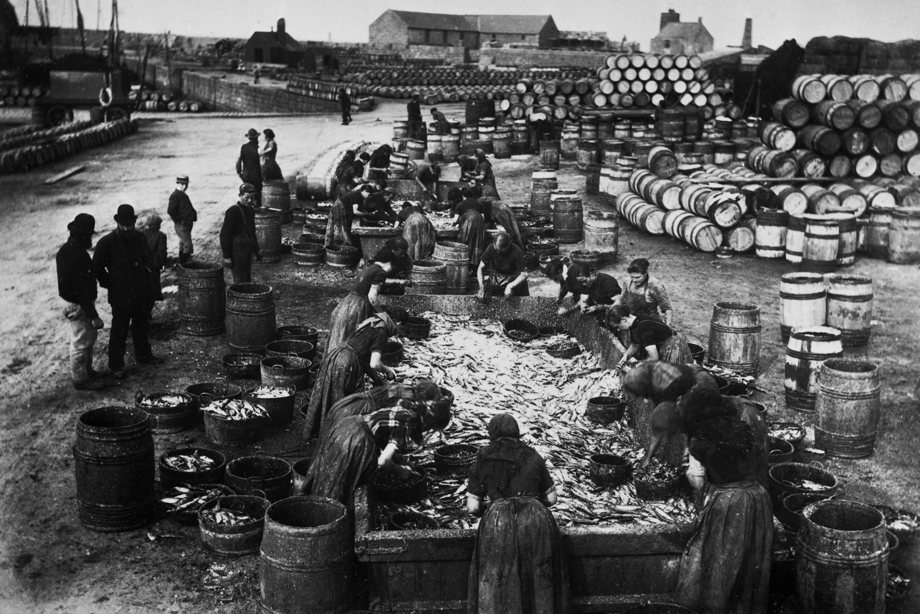 View of women gutting herrings at Peterhead harbour