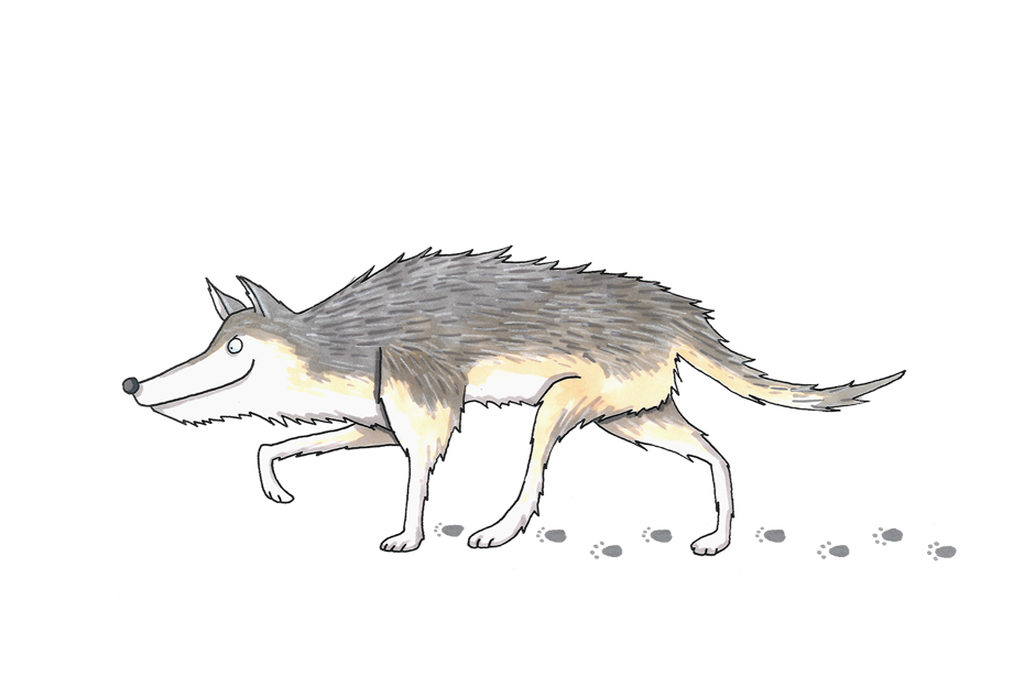 An illustration of a wolf