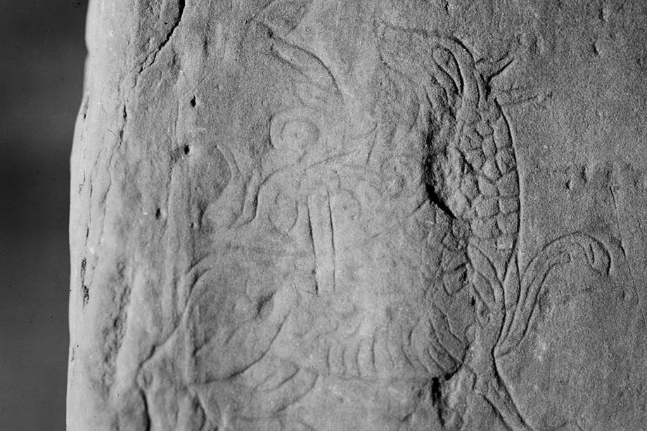 Detail of Norse Dragon (The Lion) carving in Maeshowe.