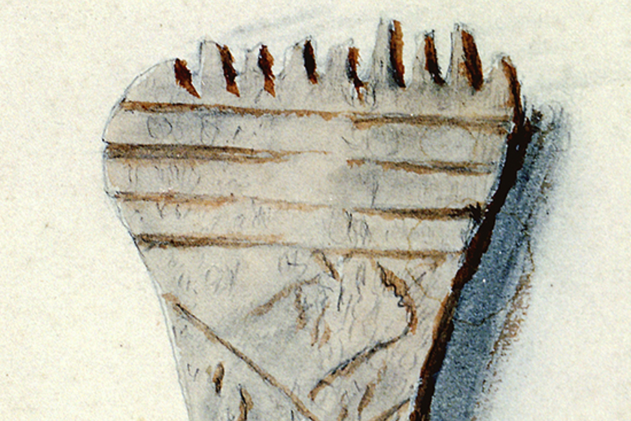 Watercolour drawing of a weaving comb. 