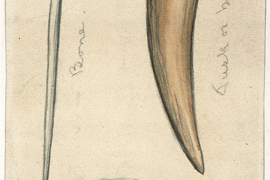 Watercolour drawing of three artefacts (a crucible, bone needle and tusk or horn). Annotated 'Bone', 'Tusk or horn' and 'Clay cup with remnants of burnt metal, like copper'.