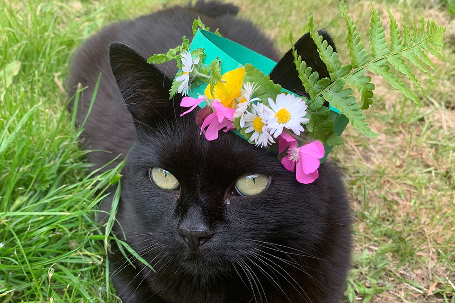 A black cat wearing a crown made from card and leaves and flowers stuck to it