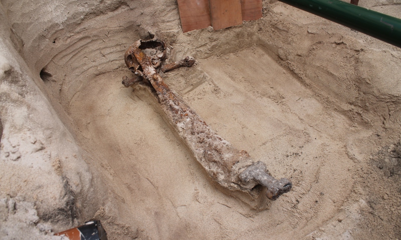 an excavation showing a skeleton buried with a sword