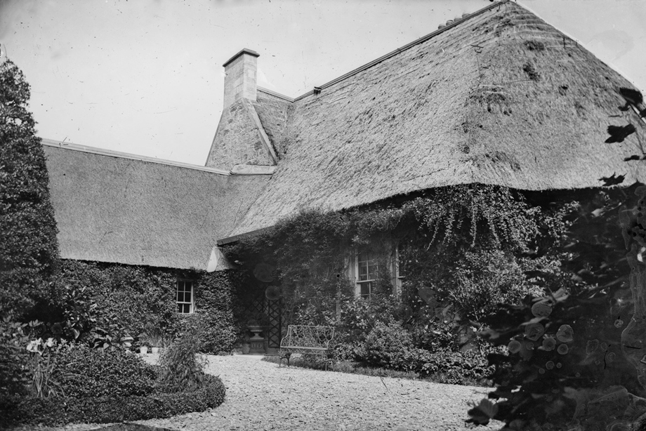 A low thatched roof cottage with plants and greenery growing up the walls and around the windows