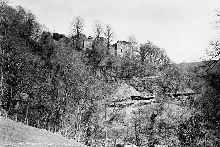 A caste ruin in the countryside