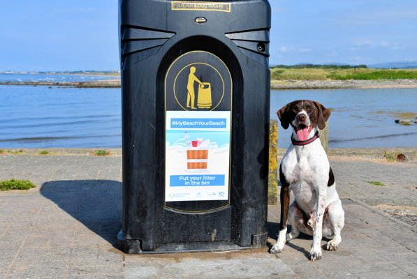 A dog sits beside a bin which is positioned in front of a beach.