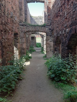 Ruins of Slains Castle corridor, the walls have vibrant green weeds growing at their base
