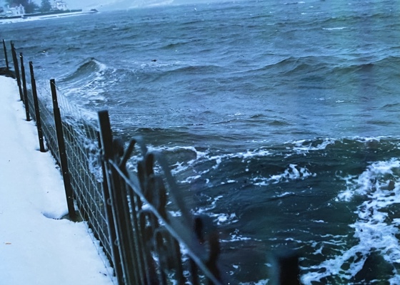 A stormy high tide at the garden gate, Colintraive, early 2000s