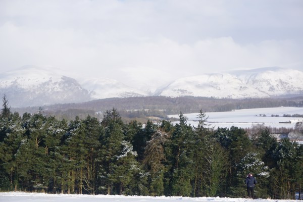 Far off shot of snow covered trees with snowy hills further off in the distance