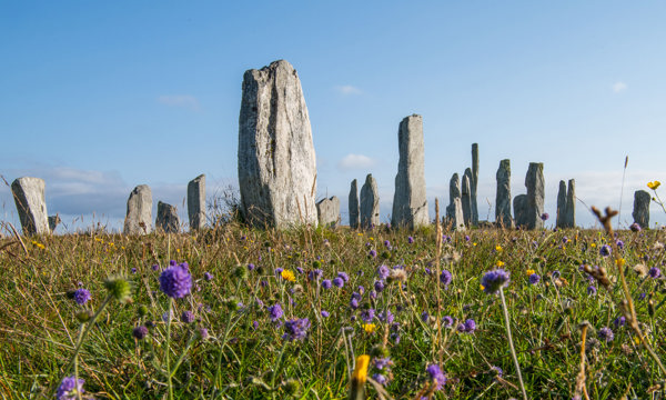 Calanais Standing Stones and wild flowers on a sunny day