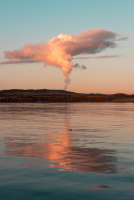 a small bird on the water passing under a plume of steam that resembles and atomic mushroom