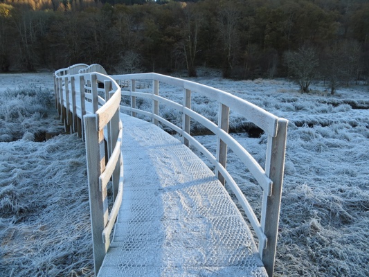 A curved wooden pedestrian bridge over a burn and boggy ground all covered in a hard frost.